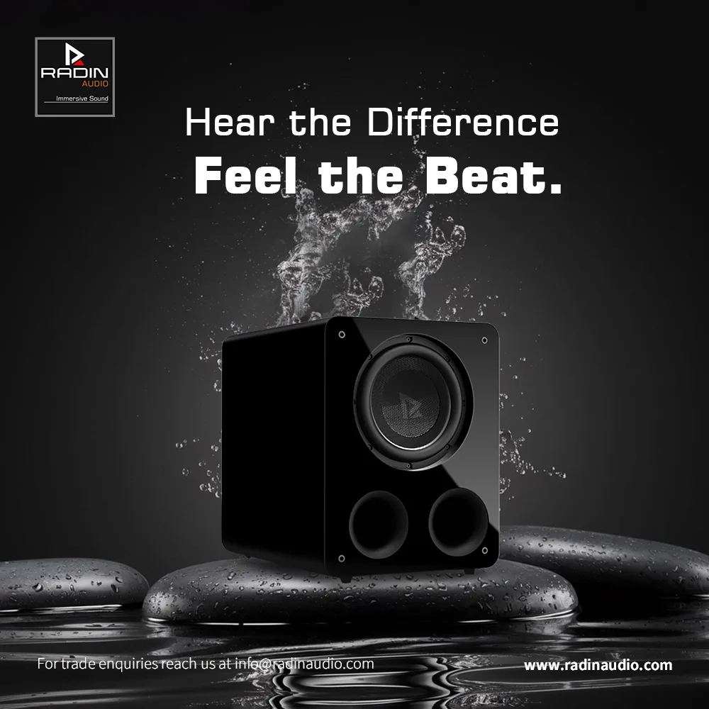 RADIN Audio 12inch Subwoofer, 600-Watt Powered , DHX-12 Ported Subwoofer 1 Best 12 Inch Subwoofer